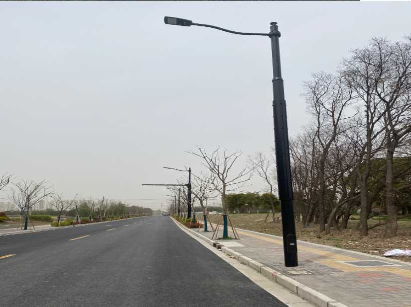 金塔县上海综合杆 太阳能路灯工程